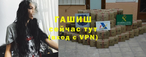 хмурый Алзамай