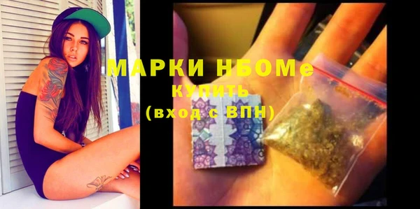хмурый Алзамай