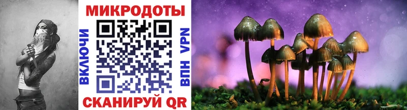 Псилоцибиновые грибы Cubensis Дзержинский