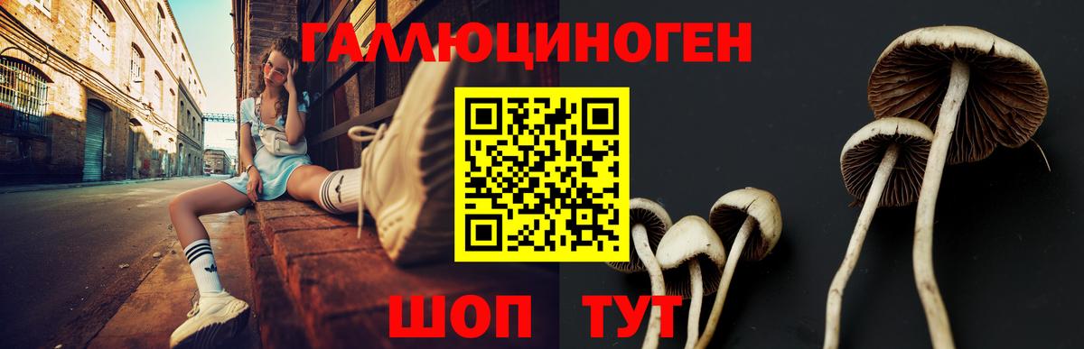 Галлюциногенные грибы ЛСД Дзержинский